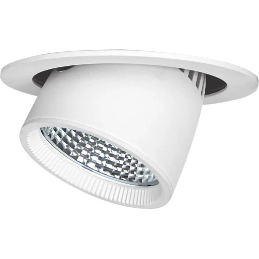 2026_06_01_920538